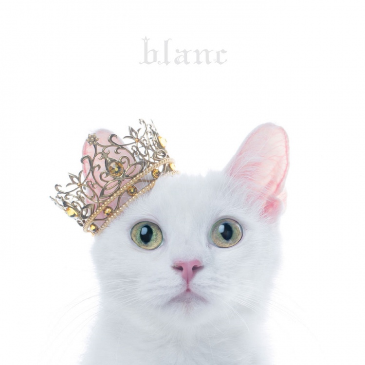BEST SELECTION “blanc” / Aimer