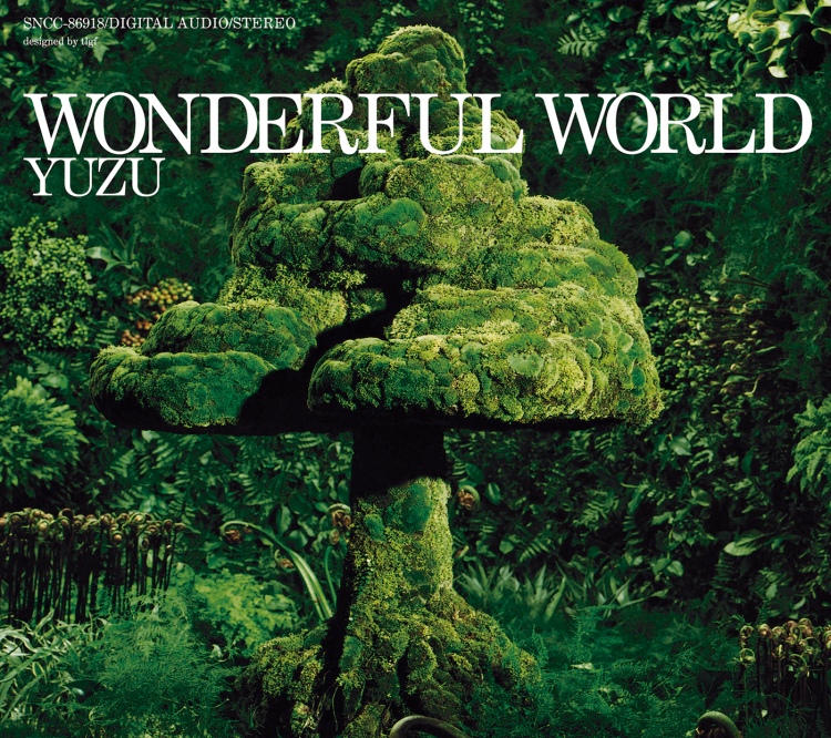WONDERFUL WORLD